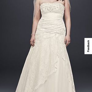 Wedding dress and veil